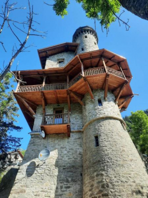 Il Castello nel Bosco, appartamento Torrente